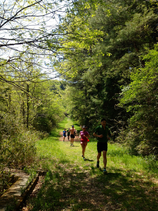 2013/05/04 Last Trail Session with Emma & Upako_b0220886_0282736.jpg