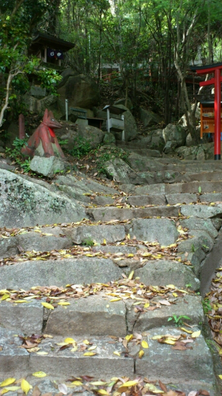 パワースポットへの道のり_e0326688_9595136.jpg