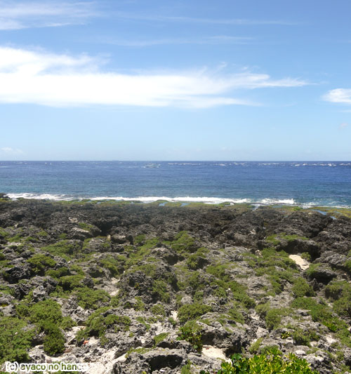 e0171089_10331594.jpg