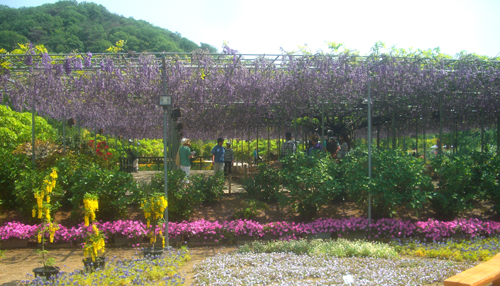 各地の美術館に、芸術が迸る！！_b0099994_14244840.jpg