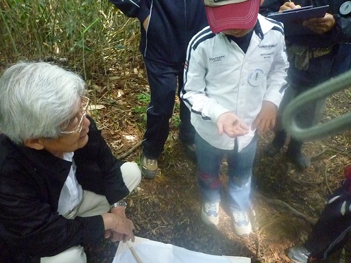 安蔵寺山ブナ林を歩く のご案内_d0087595_16205679.jpg