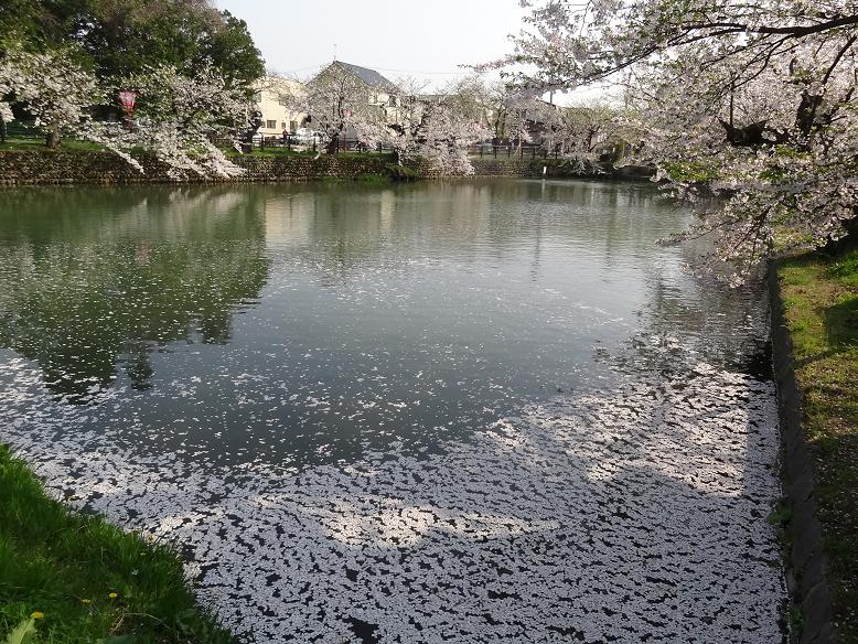 青森・花巻への旅　その２　弘前城の桜_f0075595_233732.jpg