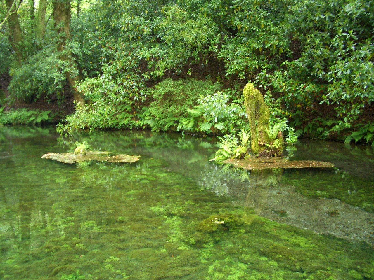 e0336405_11525164.jpg