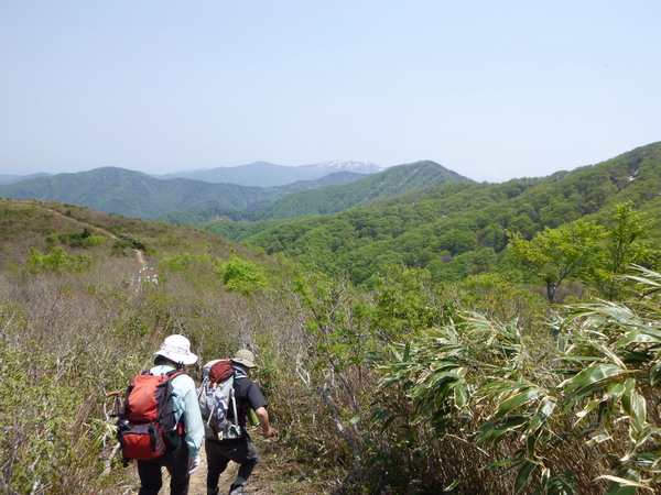 暑い　暑い日に　浄法寺山 (1,052.8M)　 丈競山 1,045M) に登る　　PART ２　_d0170615_7372726.jpg