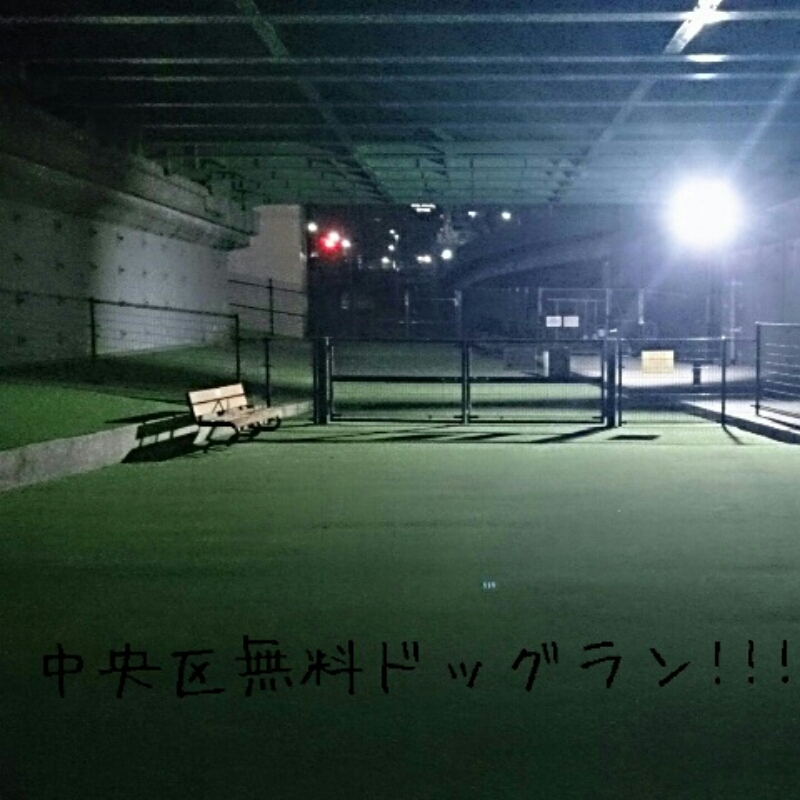 c0294716_1585414.jpg