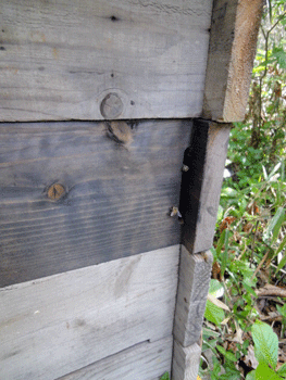 f0232920_17414235.gif