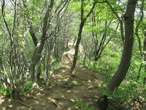 f0149422_1111175.jpg
