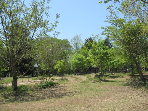 f0149422_1112457.jpg