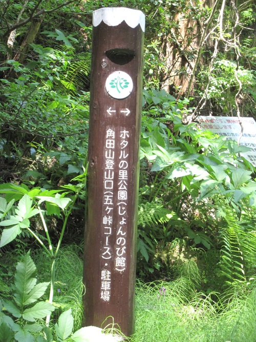 f0149422_1162918.jpg
