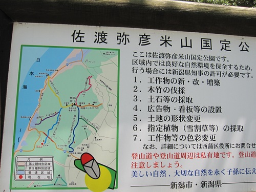 f0149422_1171837.jpg