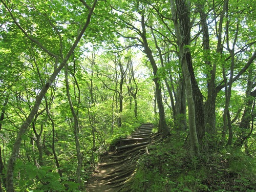 f0149422_1184049.jpg