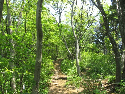 f0149422_1192172.jpg