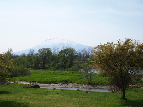 城北桜づつみ公園20130517(弘前市)_b0147224_23161471.jpg