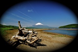 霊峰富士_b0065730_1904987.jpg