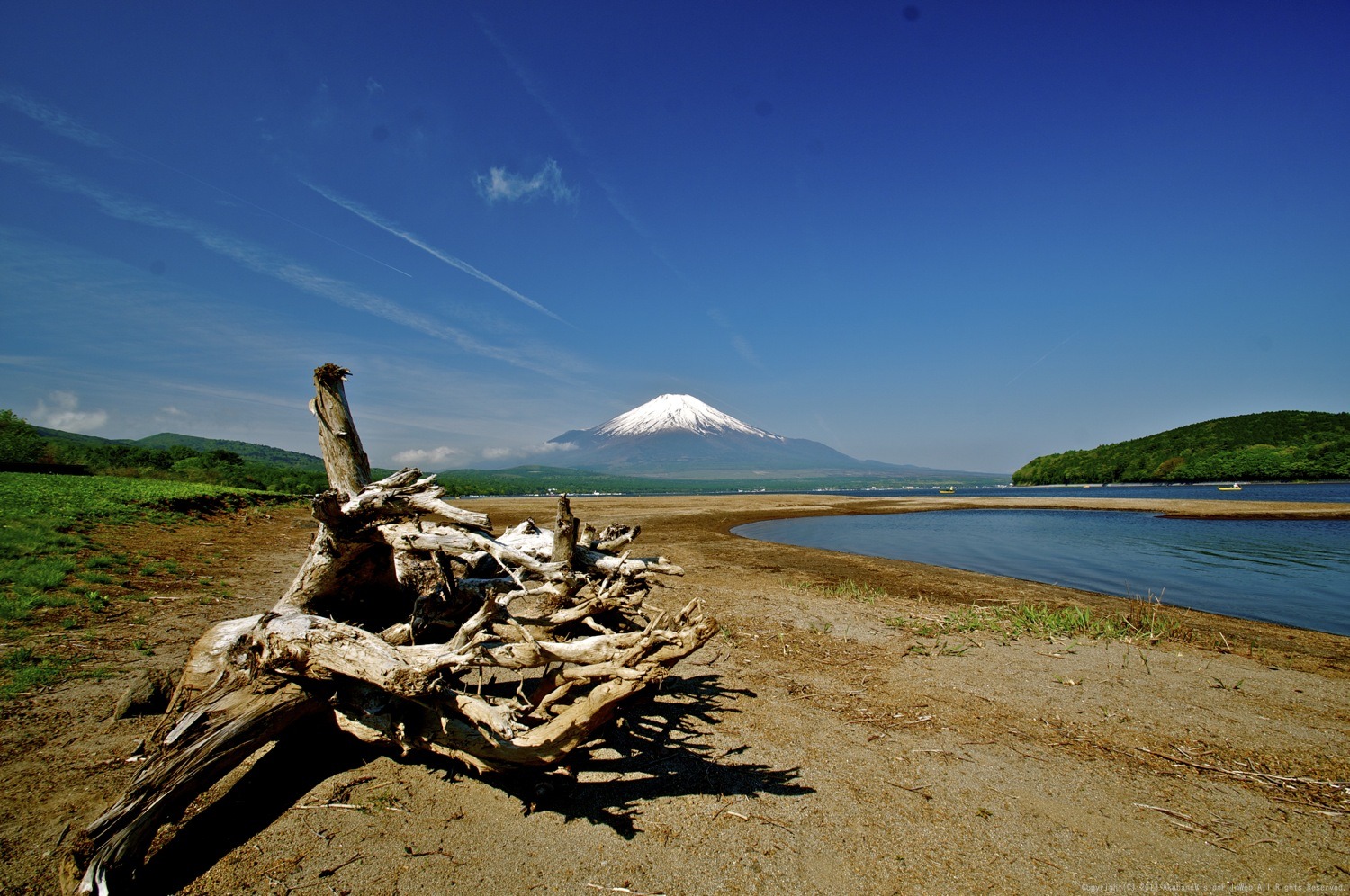霊峰富士_b0065730_1974730.jpg