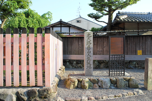 京都　要庵歳時記　『上賀茂・太田神社　カキツバタ』　2_d0033734_205341.jpg