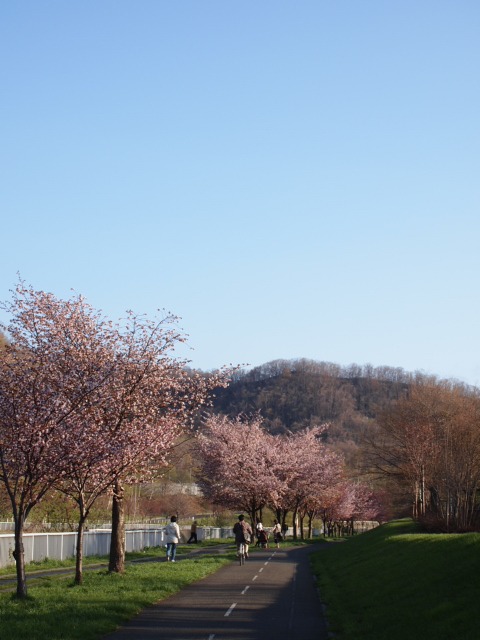 c0117239_74635.jpg