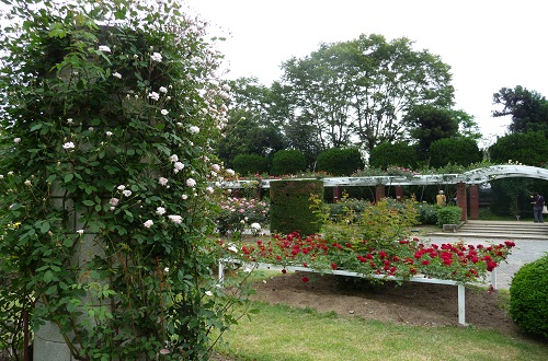 d0282139_1526139.jpg