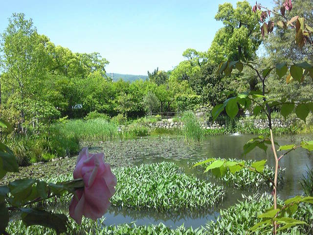 c0292342_9355079.jpg