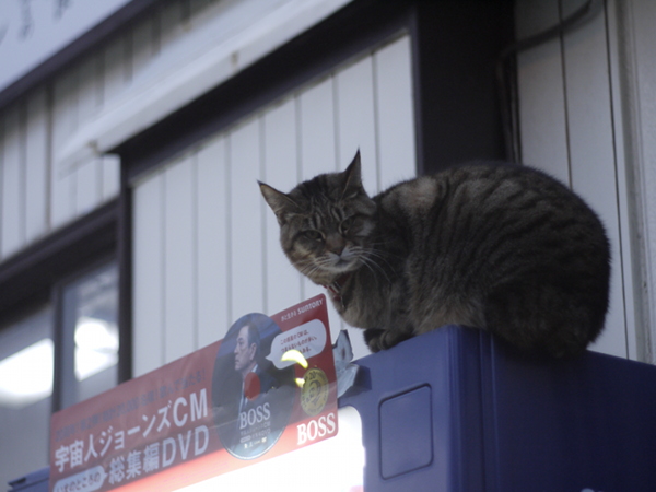 『文佐食堂のBOSS』Nikon L35AD2(1983年発売) Nikon Lens 35mm 1:2.8　改造レンズ_e0296043_2121411.jpg