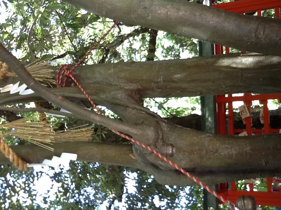 京都でした_b0093660_19434622.jpg