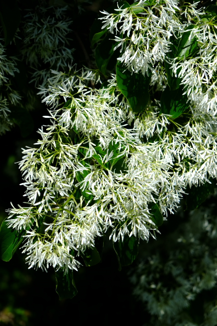 c0054876_16413710.jpg
