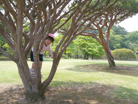 2013年　5月　16日（木）　ナッキー初めての遠足、新宿御苑のバラ園_c0004078_9522419.jpg