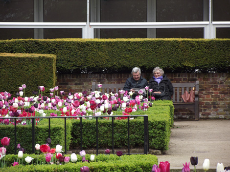 Tulips in Holland Park_d0089685_3582880.jpg