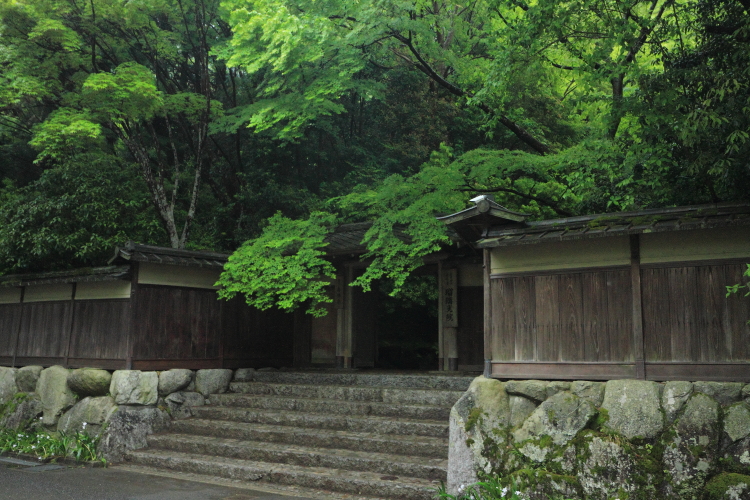 瑠璃光院_e0051888_20452745.jpg