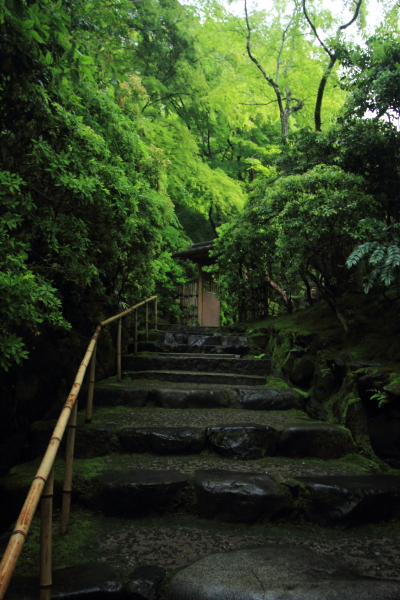 瑠璃光院_e0051888_20454531.jpg