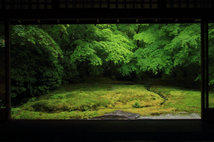 瑠璃光院_e0051888_20475661.jpg