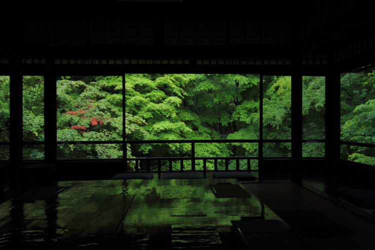 瑠璃光院_e0051888_2047935.jpg