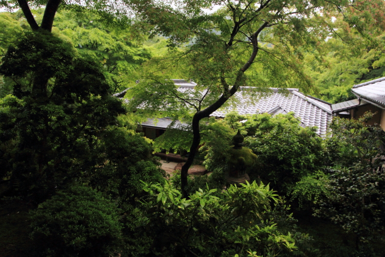 瑠璃光院_e0051888_20484055.jpg