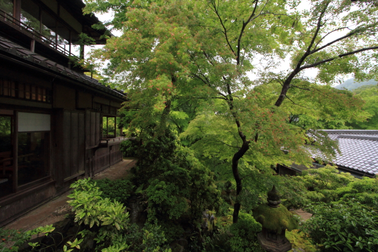 瑠璃光院_e0051888_20491922.jpg
