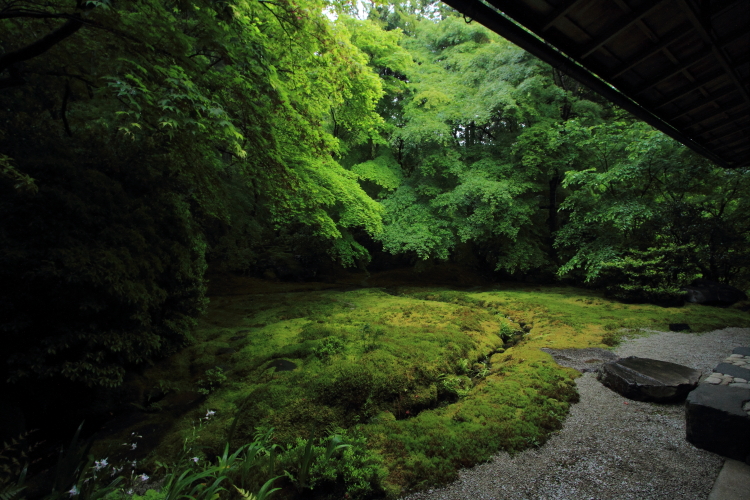 瑠璃光院_e0051888_2050823.jpg