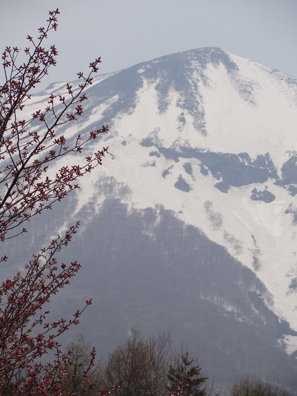 青森・花巻への旅　その３　鯵ヶ沢～岩木山～十和田湖_f0075595_23132156.jpg