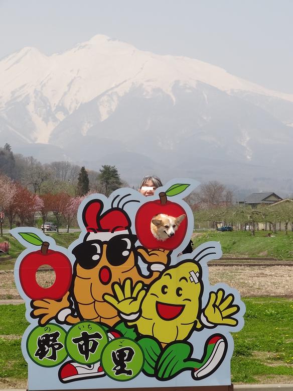 青森・花巻への旅　その３　鯵ヶ沢～岩木山～十和田湖_f0075595_23161276.jpg