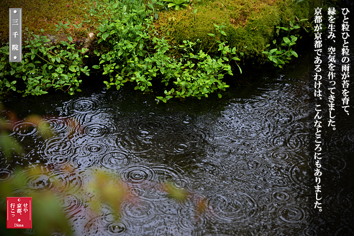 c0183700_2175256.jpg