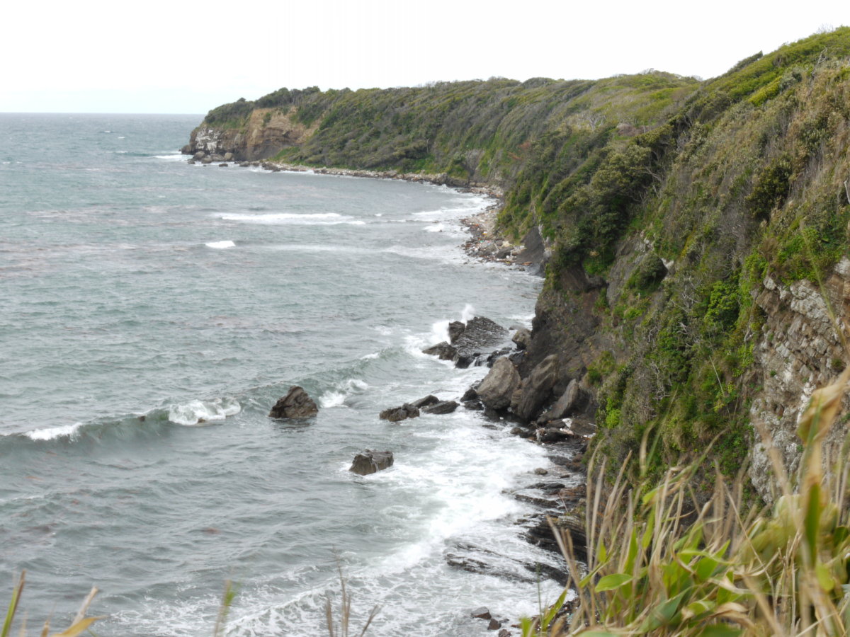 b0165802_065552.jpg