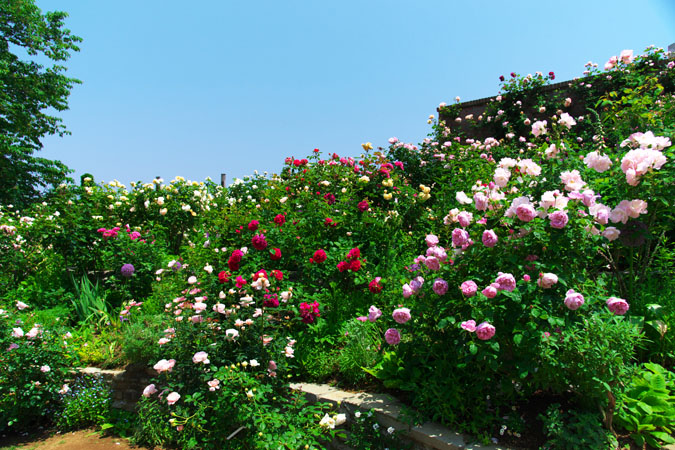 a0263109_2254110.jpg
