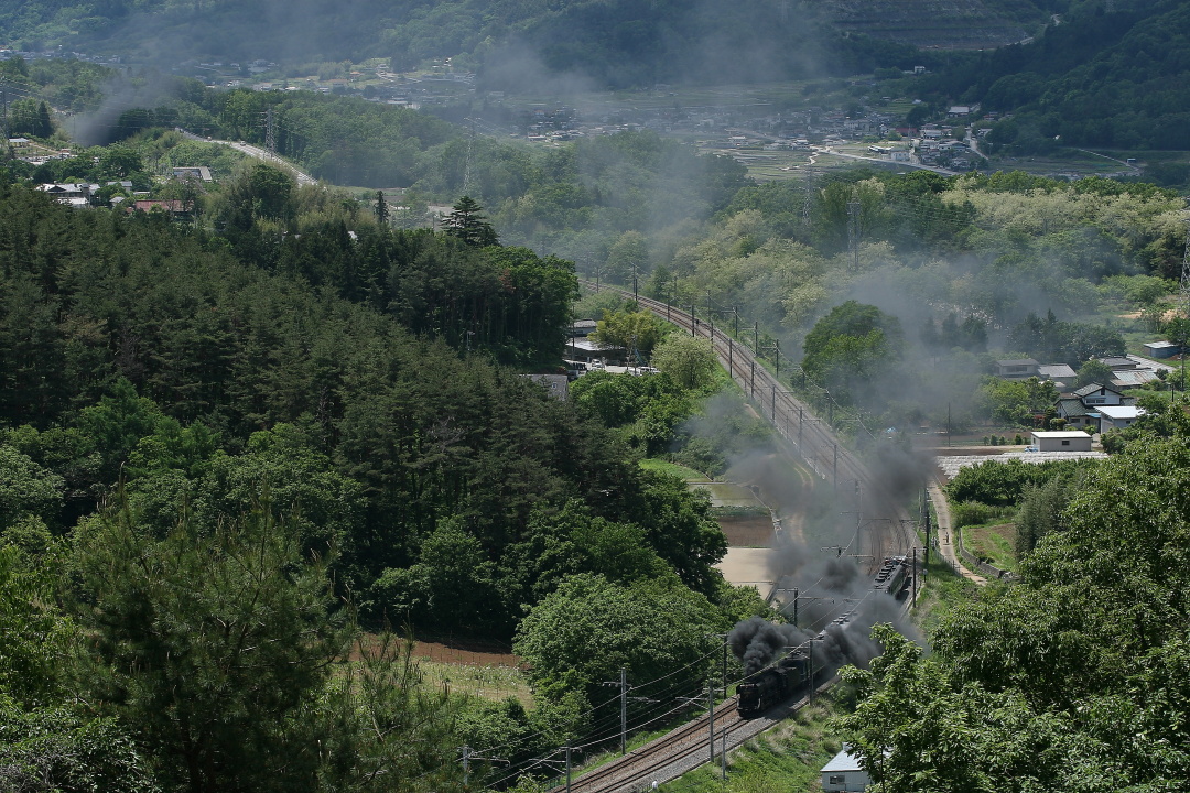 違いがわかる？　- 2010年・中央本線 -  _b0190710_22501619.jpg