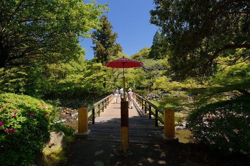 新緑巡り・瑠璃光院 其の一_f0032011_1811397.jpg