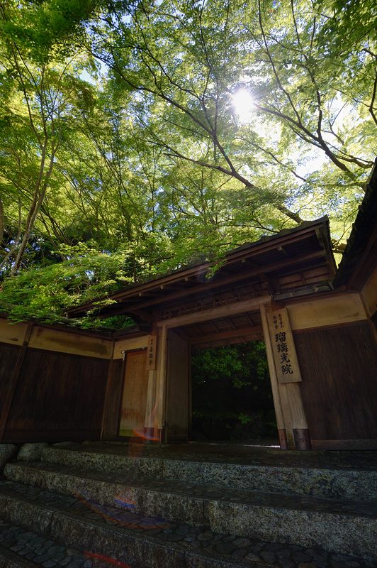 新緑巡り・瑠璃光院 其の一_f0032011_18115082.jpg