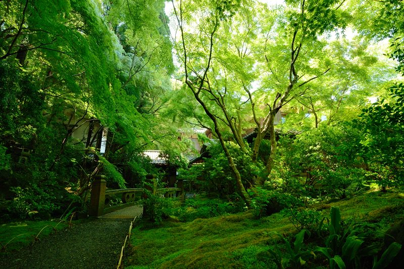 新緑巡り・瑠璃光院 其の一_f0032011_18124355.jpg
