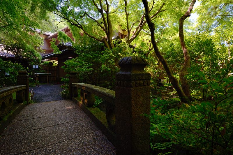 新緑巡り・瑠璃光院 其の一_f0032011_18133310.jpg