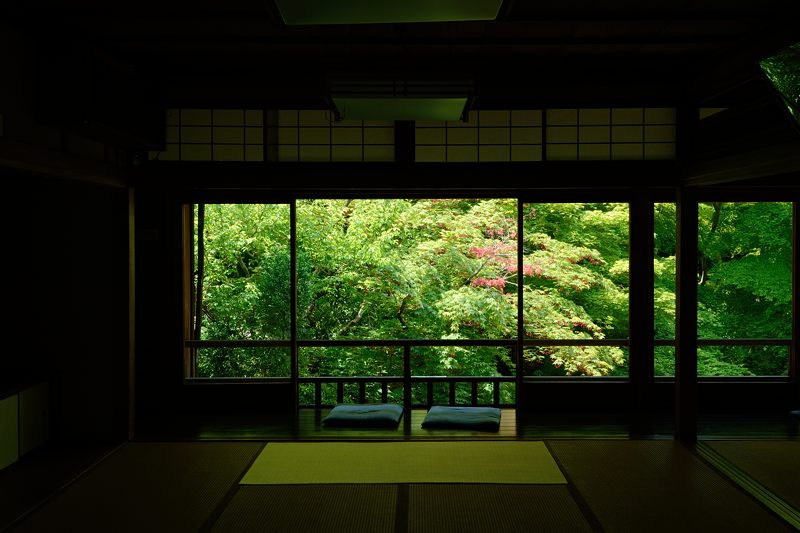 新緑巡り・瑠璃光院 其の一_f0032011_18145071.jpg