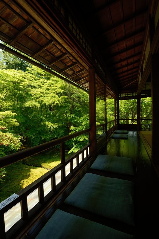 新緑巡り・瑠璃光院 其の一_f0032011_1815616.jpg