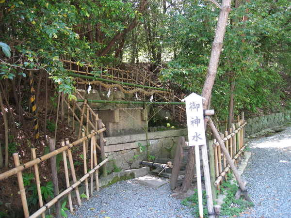 d0287413_01295.jpg
