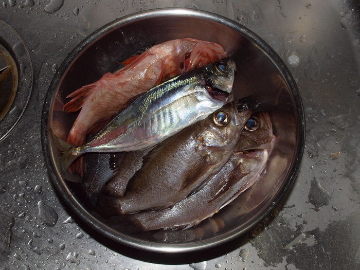 夫の釣果_c0116915_2292313.jpg