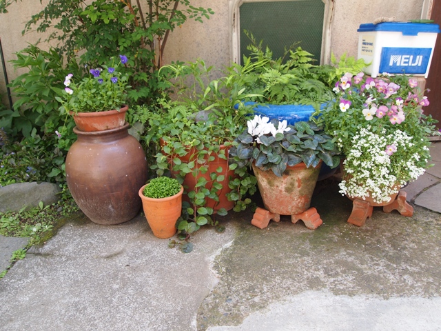 b0177323_14275968.jpg